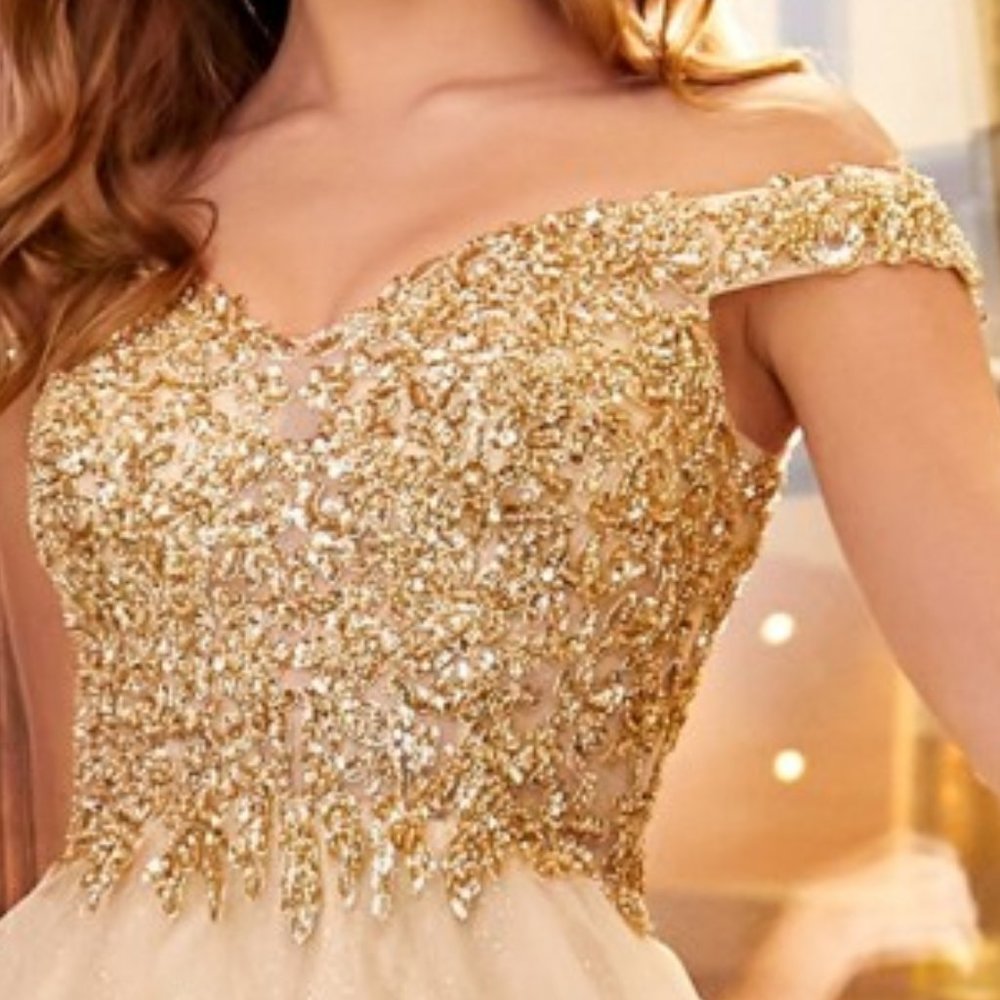 CHAMPAGNE  PROM PARTY EVENING LONG OFF THE SHOULDER A-LINE DRESS CD0177 - Picture 3 of 7